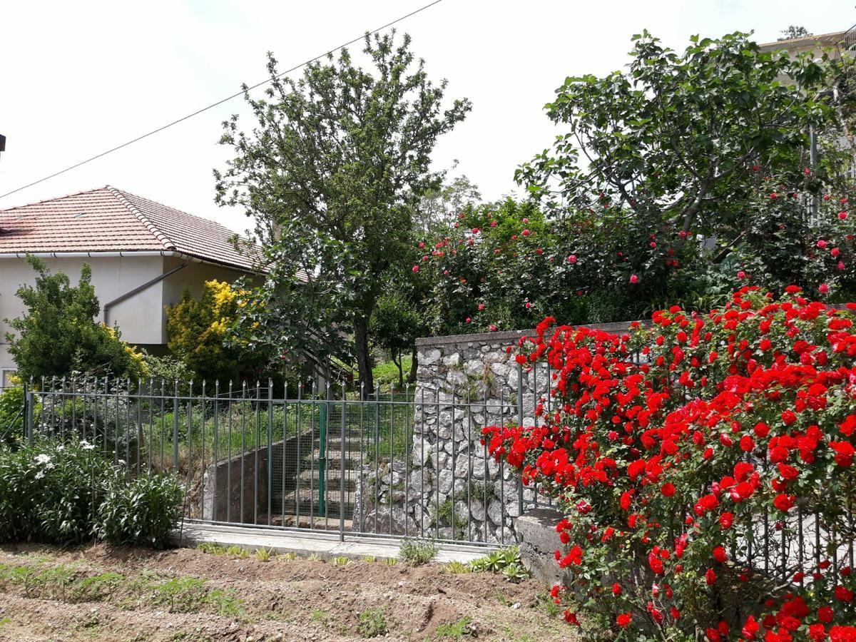 Bed and Breakfast Bb Santalucia Agerola Exterior foto